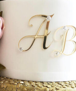 Gorgeous Initials or Number in Mirror Acrylic 2" +Sizes