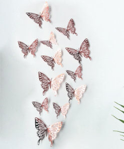 butterflies E RG